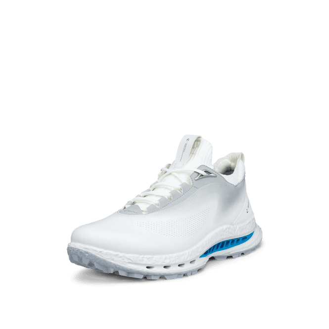 Ecco  M Golf BIOM C5 GTX Golf Shoes - WHITE/CONCRETE