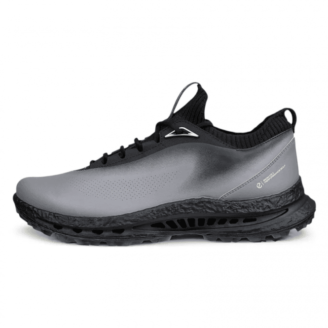 Ecco  M Golf BIOM C5 Lace GTX Golf Shoes - STEEL/STEEL